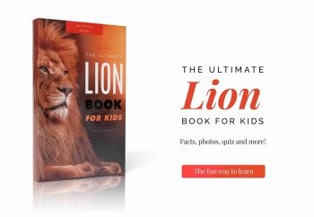 lion book for kids