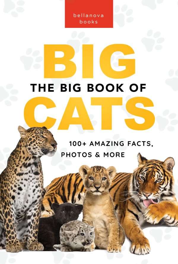 big cats book for kids