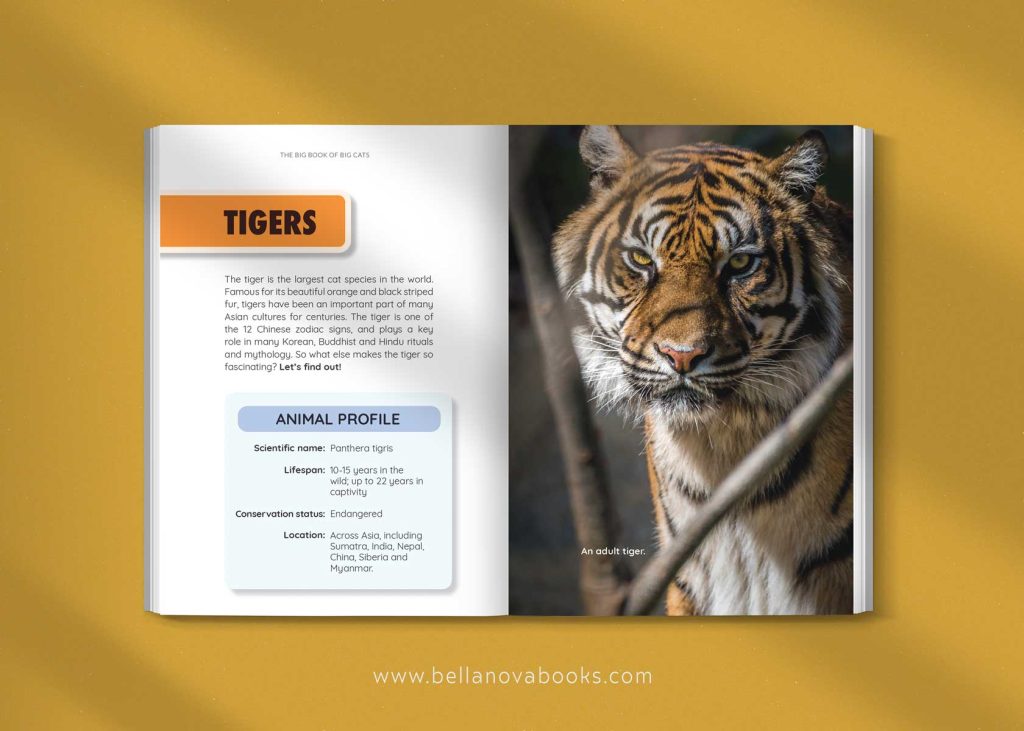Inside page with high-resolution tiger images and fun facts for young readers.