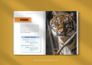 Inside page with high-resolution tiger images and fun facts for young readers.