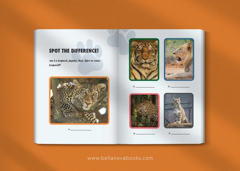 Activity page for big cats with photos and interesting facts for kids.