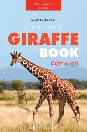 giraffe book for kids