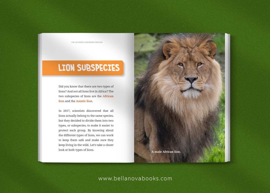 Inside page showing lion species with full-color images and fun facts for kids.