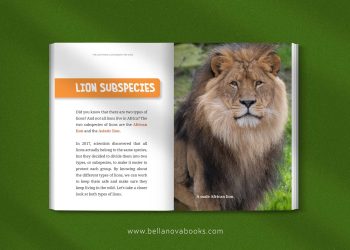 Inside page showing lion species with full-color images and fun facts for kids.