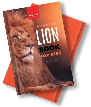 The Ultimate Lion Book for Kids paperback cover featuring a close-up image of a lion in the wild.
