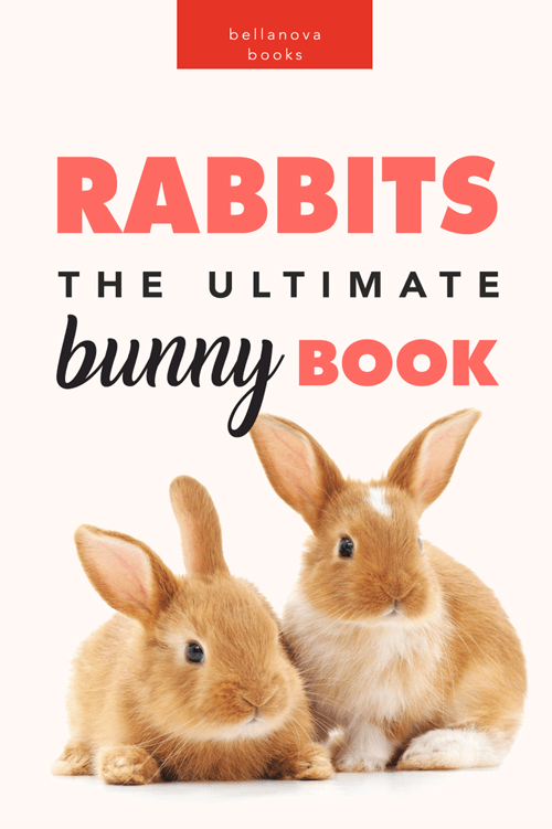 rabbits the ultimate bunny book for kids jenny kellett