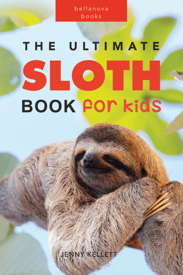 sloth book for kids