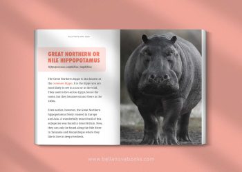 Inside page showing hippos swimming, resting, and feeding, with educational facts for young readers.