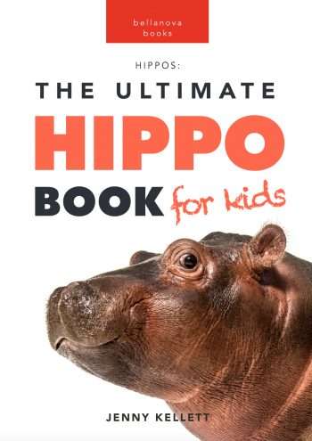 hippo book for kids