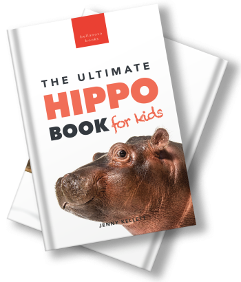 hippo book for kids
