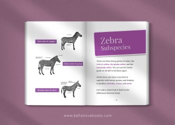zebra subspecies in the ultimate zebra book for kids