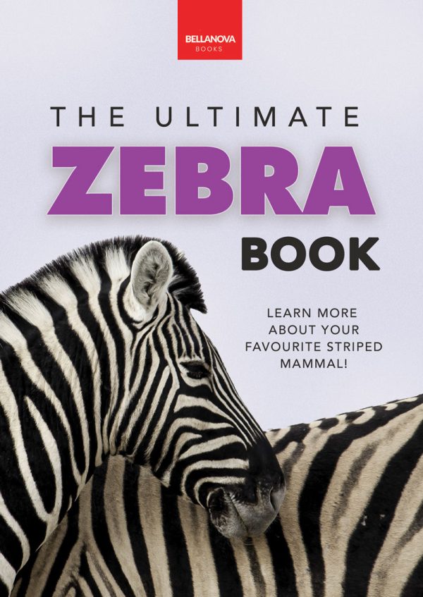 zebra book for kids