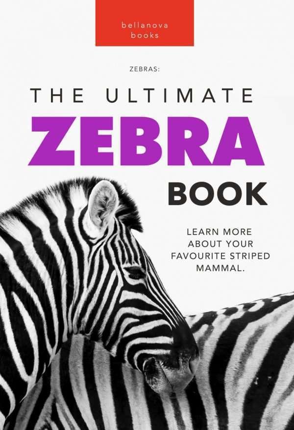 zebra book for kids
