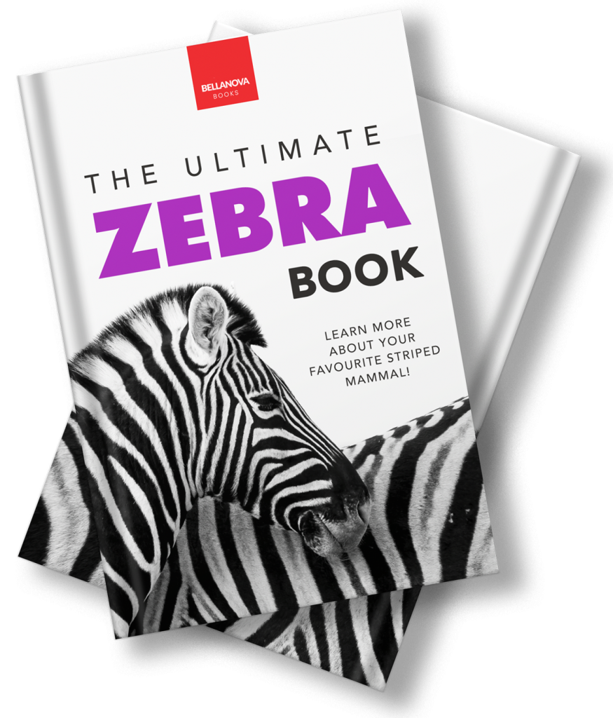 the ultimate zebra book for kids cover images