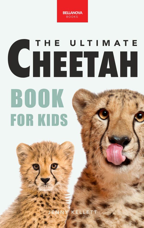 cheetah book for kids