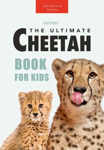 cheetah book for kids