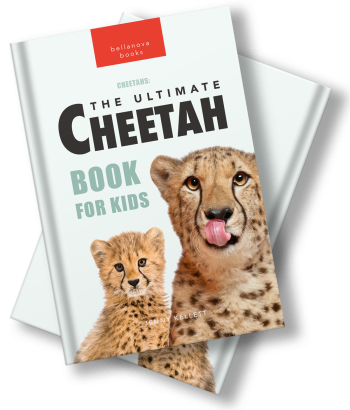 cheetah book for kids