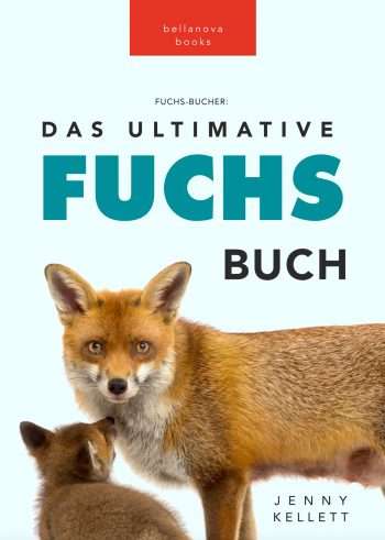 fuchsbuch für kinder