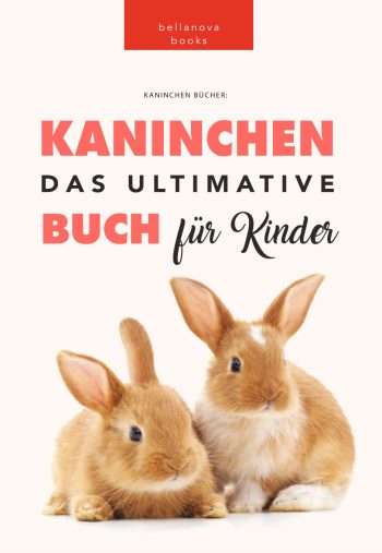 kaninchenbuch kinder