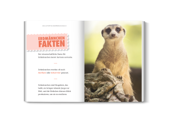 Erdmännchen in ihrer natürlichen Umgebung, aus dem Buch