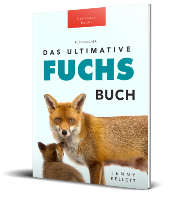 Cover des Fuchsbuchs für Kinder