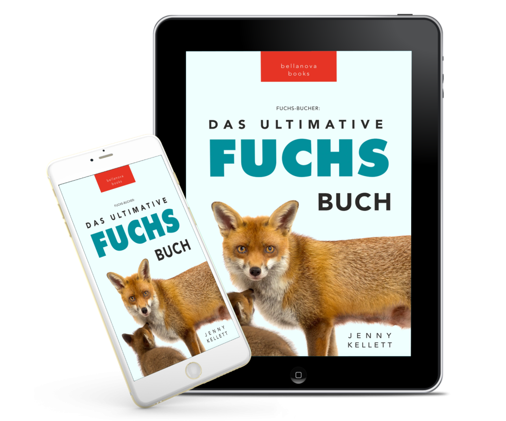3D-Mockup des Fuchsbuchs auf einem Tablet