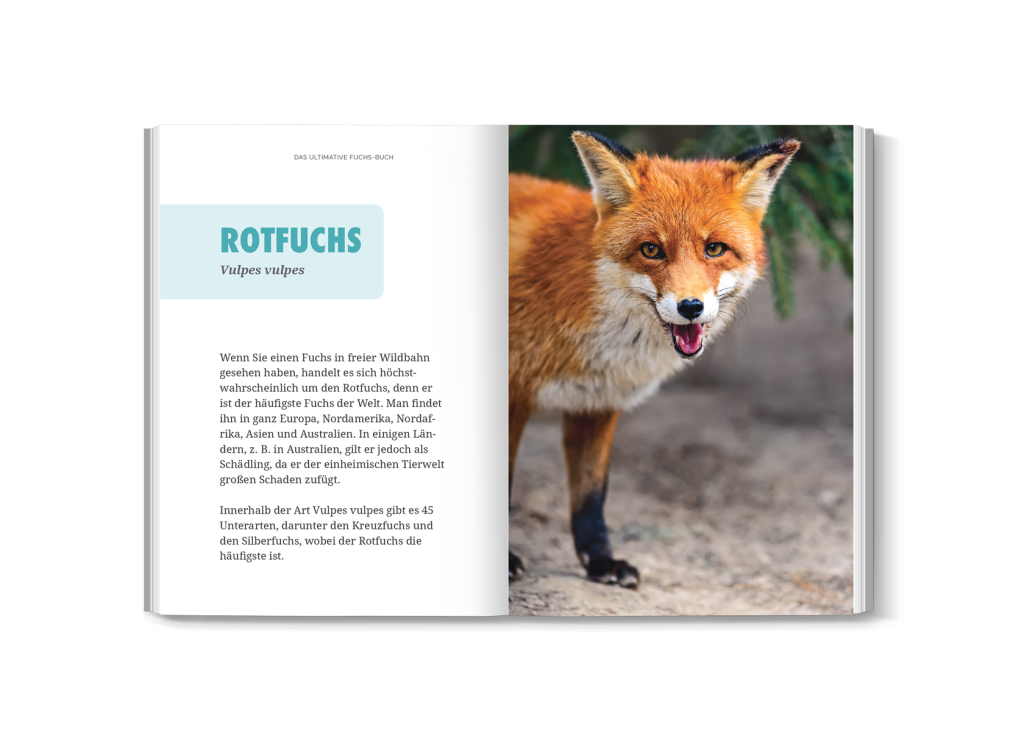 Echte Fuchsfotos aus dem Buch