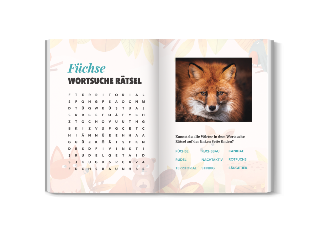 Vorschau der Quiz- und Rätselseite aus dem Fuchsbuch