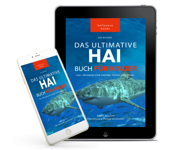 Tablet-Mockup mit dem Cover des Haibuchs