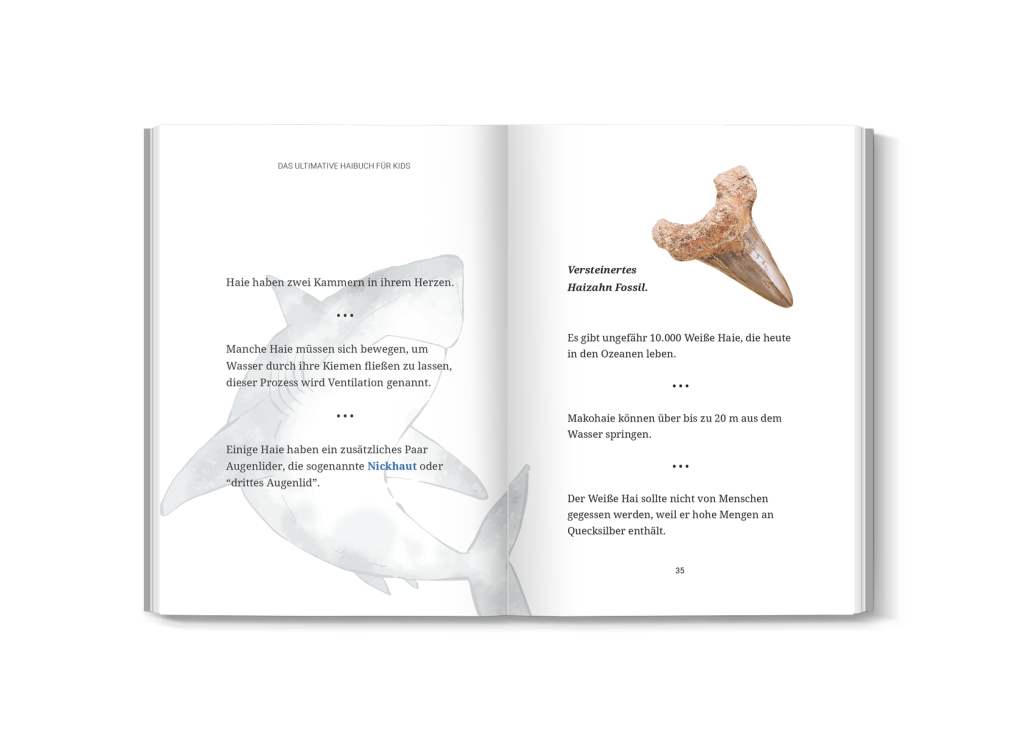 Aufgeschlagene Innenseite mit spannenden Hai-Fakten und farbigen Illustrationen