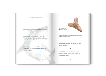 Aufgeschlagene Innenseite mit spannenden Hai-Fakten und farbigen Illustrationen