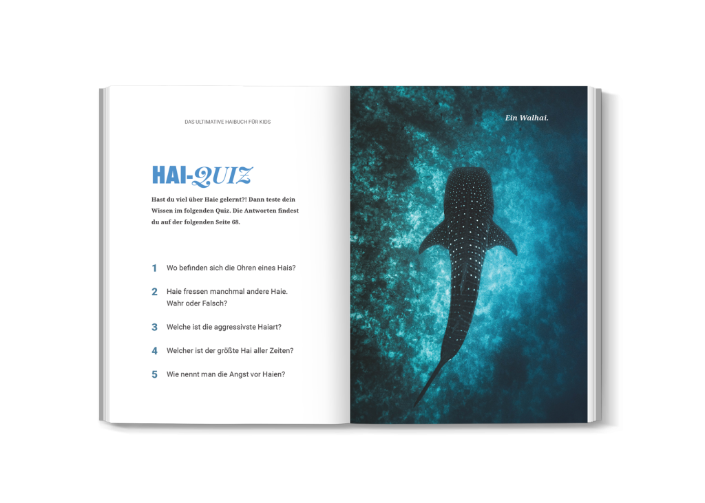 Quiz- und Rätselseite aus dem Haibuch für Kinder