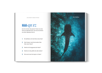 Quiz- und Rätselseite aus dem Haibuch für Kinder