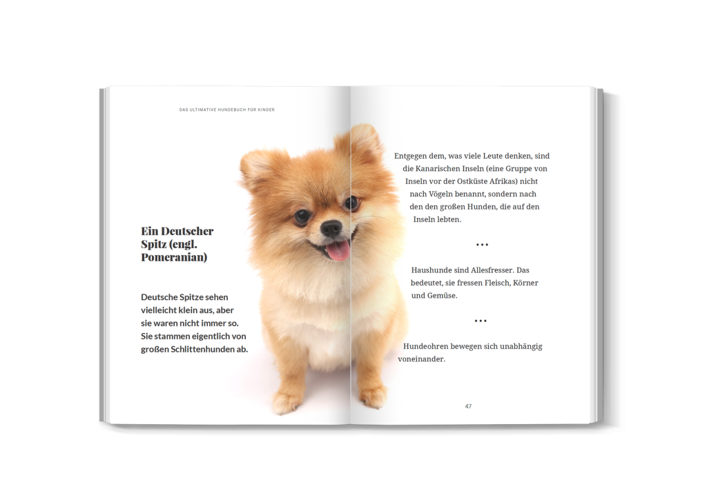 Innenansicht mit spannenden Hunde-Fakten und bunten Bildern
