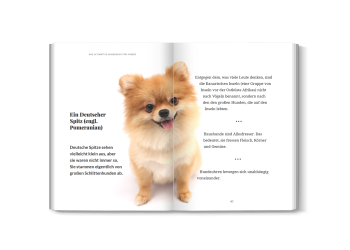 Innenansicht mit spannenden Hunde-Fakten und bunten Bildern