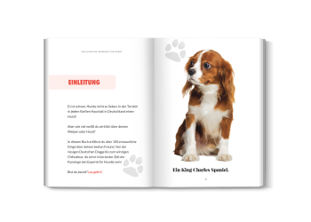 Quiz- und Rätselseite aus dem Hunde-Buch für Kinder