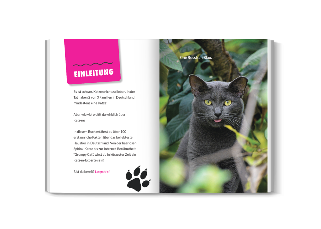 Innenansicht des Katzenbuchs mit einer Doppelseite (Foto einer Katze und Text)