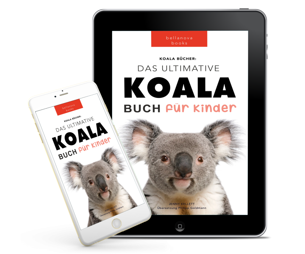 3D-Mockup des Buchcovers auf einem Tablet