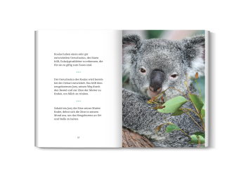 Hochwertiges Foto eines Koalas aus dem Buch