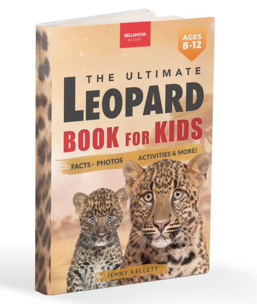 hardcover leopard book for kids