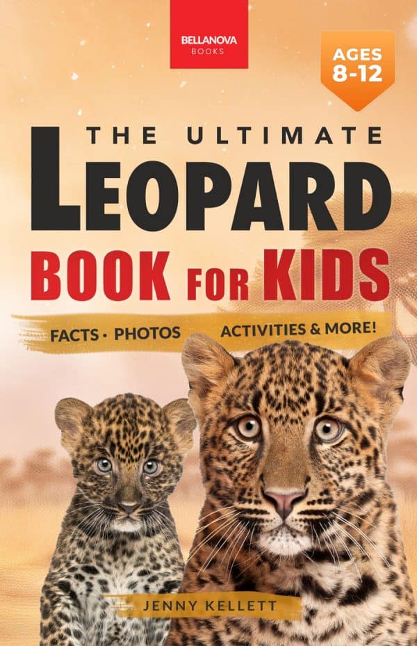 leopard book for kids