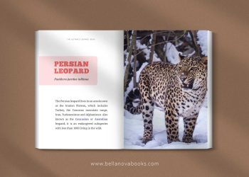 Inside page showing the nine leopard subspecies with photos and facts for kids.