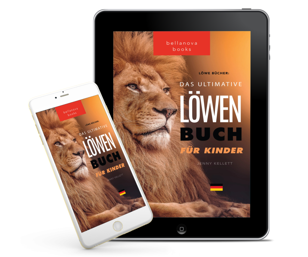 3D-Mockup des Buchcovers auf einem Tablet