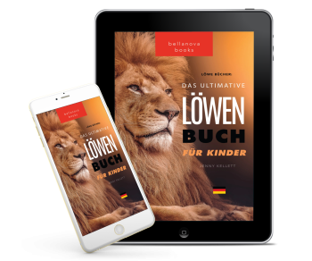 3D-Mockup des Buchcovers auf einem Tablet