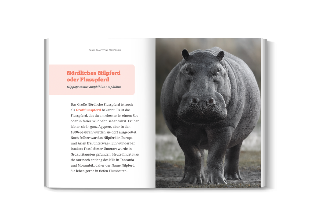 Innenseite mit Nilpferd-Fakten und Fotos aus dem Buch
