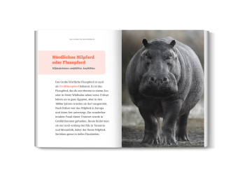 Innenseite mit Nilpferd-Fakten und Fotos aus dem Buch