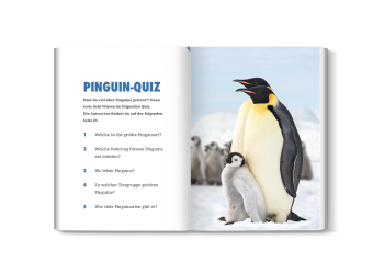 Innenansicht mit Quiz- und Rätselseiten des Pinguinbuchs
