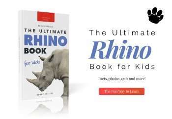 rhino book for kids