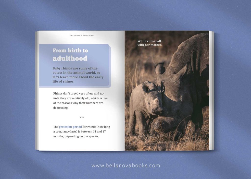 Inside page showing baby rhinos with photos and educational facts for children.