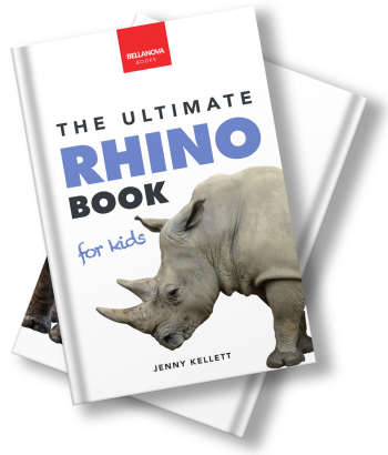 rhino book for kids